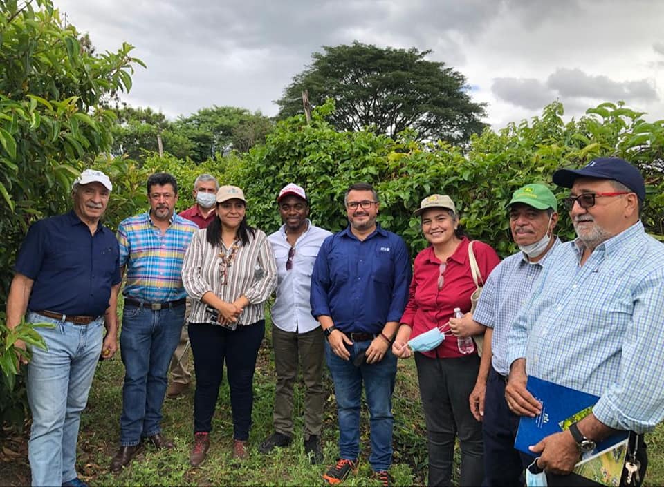 En Comayagua: Presentan resultados del uso de agentes de control biológico en cultivo de hortalizas